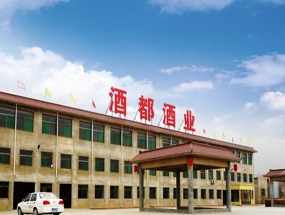 杏花村酒都酒業(yè)