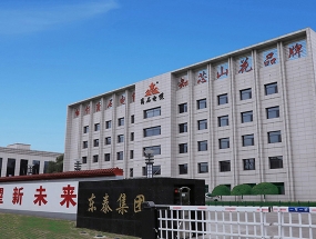 山西東泰能源集團(tuán)