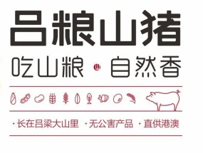 呂糧山豬